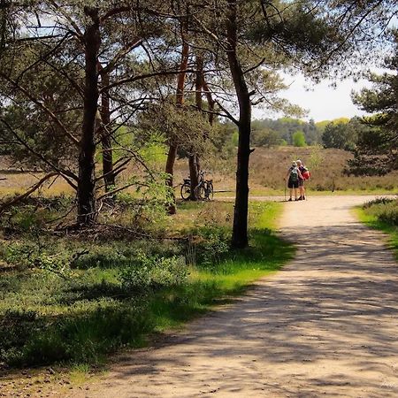 Luxe Woodlodge In Een Prachtige En Bosrijke Omgeving Bornerbroek エクステリア 写真