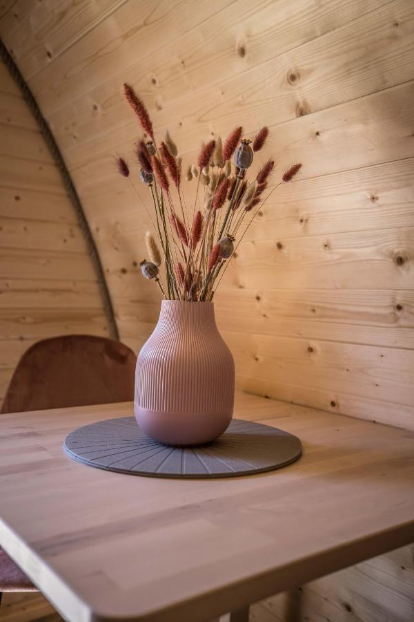 Luxe Woodlodge In Een Prachtige En Bosrijke Omgeving Bornerbroek エクステリア 写真