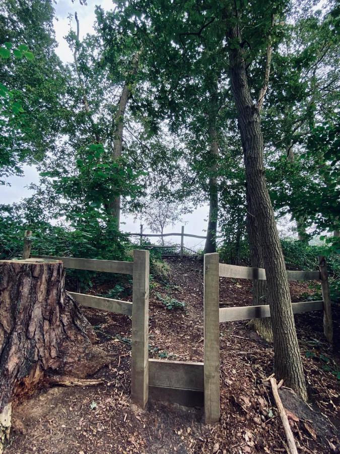 Luxe Woodlodge In Een Prachtige En Bosrijke Omgeving Bornerbroek エクステリア 写真