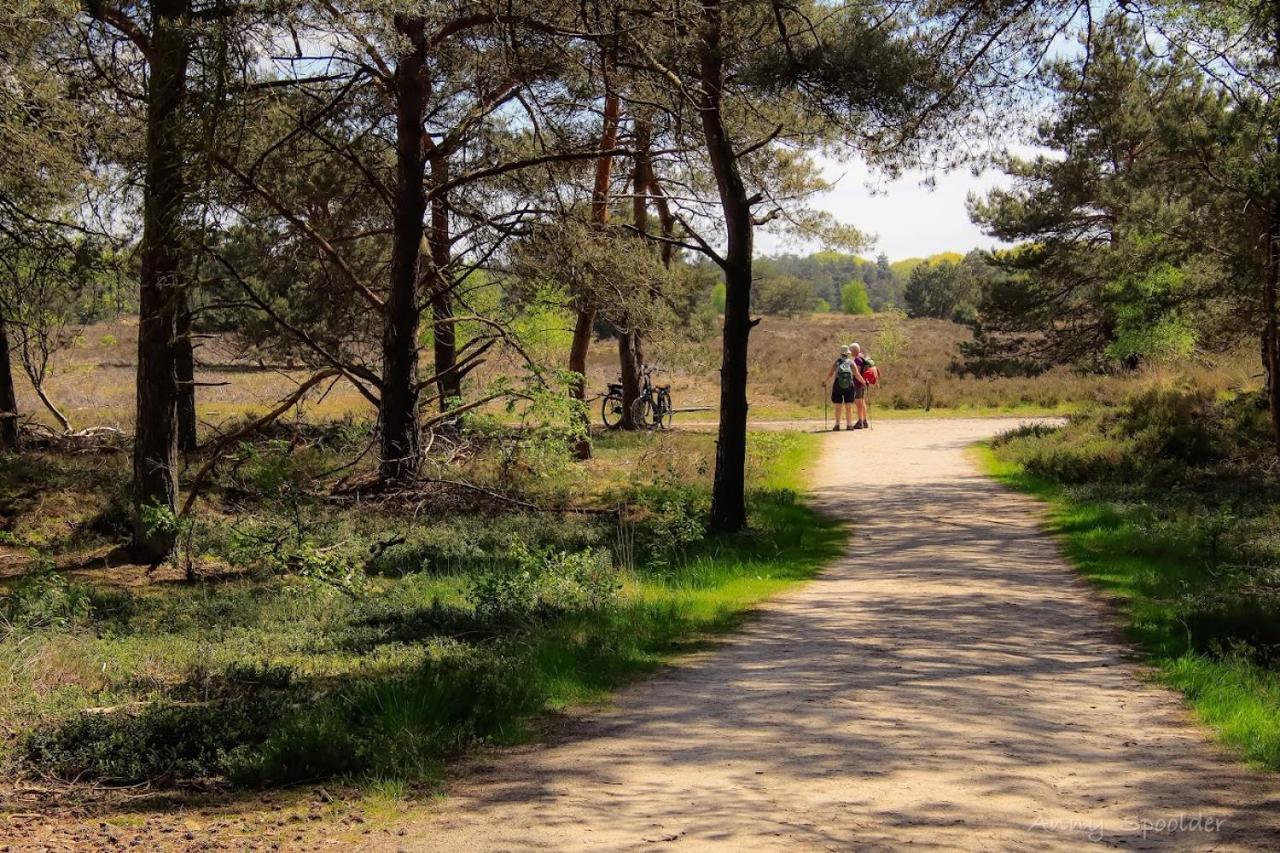 Luxe Woodlodge In Een Prachtige En Bosrijke Omgeving Bornerbroek エクステリア 写真